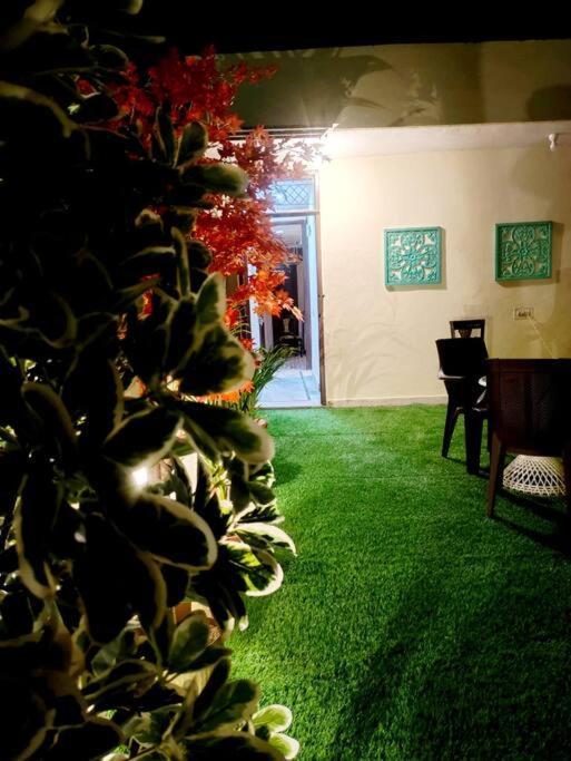 Sukoon ,cozy ,private & Regal Terrace Apartment New Delhi